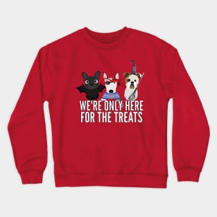 English Bull Terriers Halloween Trick or Treat Crewneck Sweatshirt